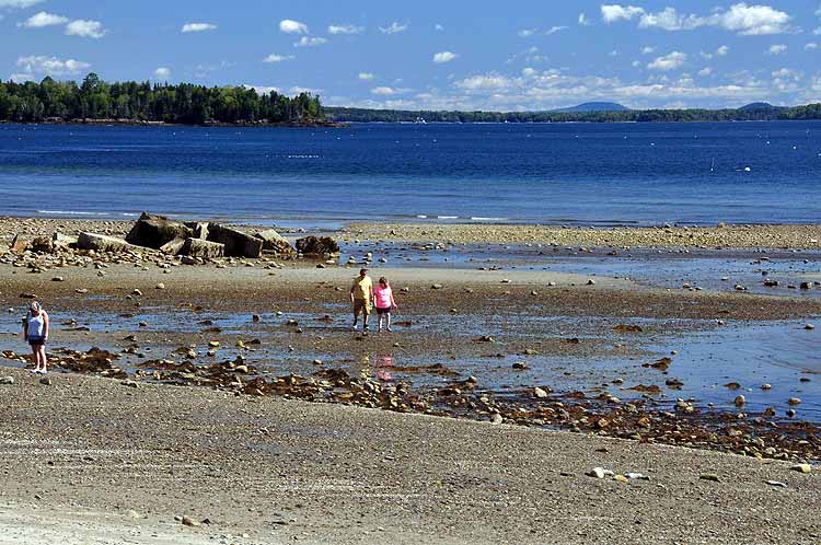 beach at low tide